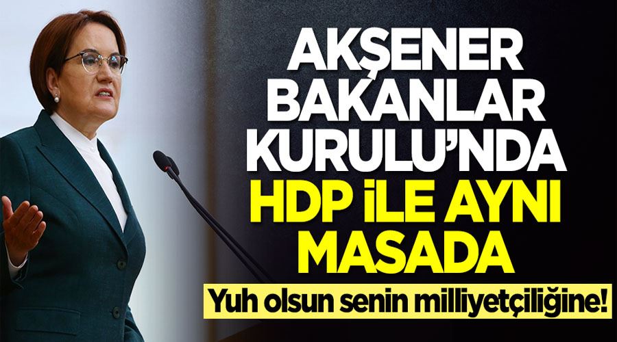 Yuh olsun senin milliyetçiliğine! Meral Akşener Bakanlar Kurulu