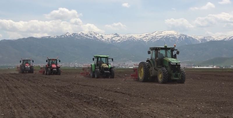 500 bin ton şeker pancarından 2 milyar TL gelir bekleniyor
