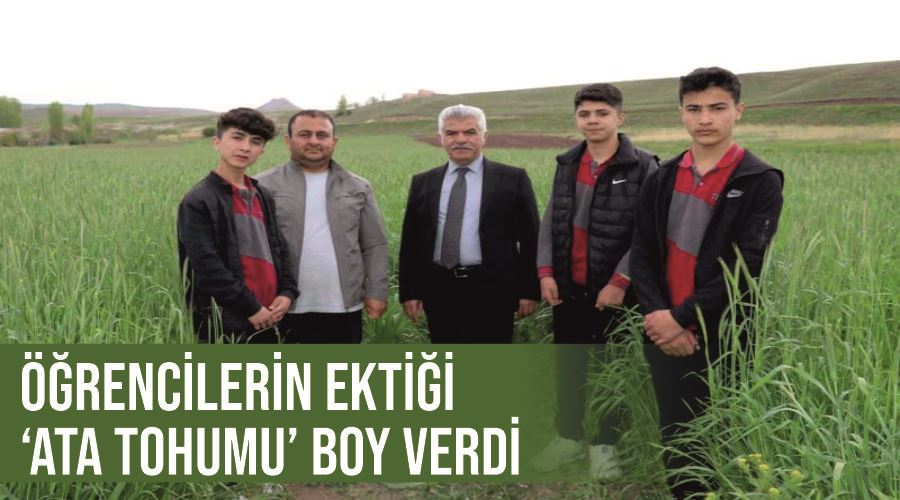 Öğrencilerin ektiği ‘ata tohumu’ boy verdi