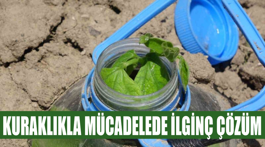 Kuraklıkla mücadelede ilginç çözüm