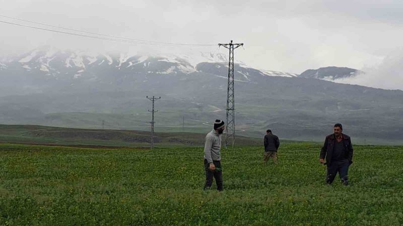 Mayıs ayında kar yağdı, vatandaş yeniden soba kurdu
