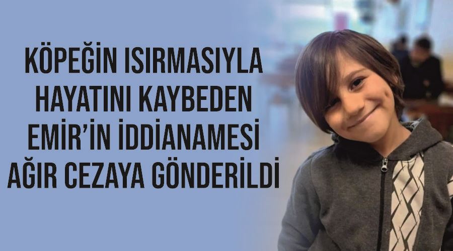 Köpeğin ısırmasıyla hayatını kaybeden Emir’in iddianamesi ağır cezaya gönderildi