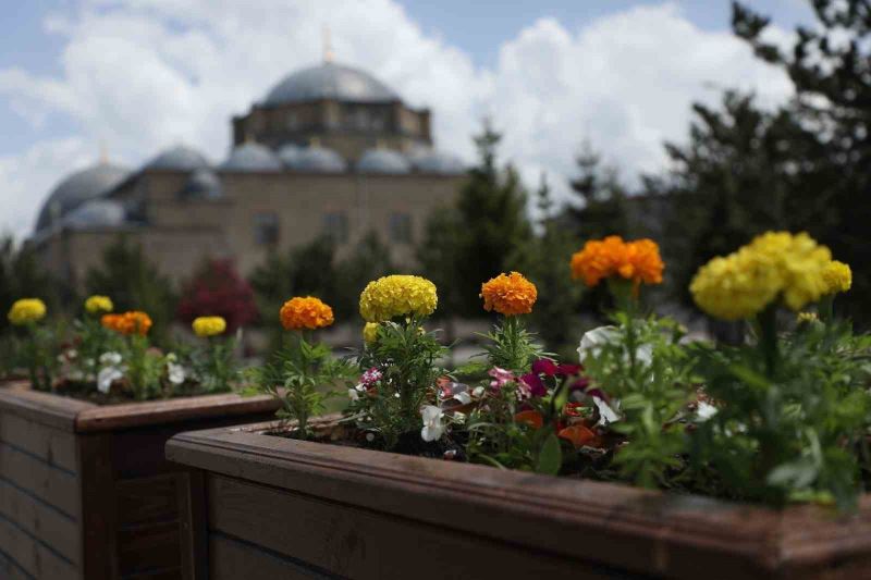 Kars Belediyesi’nden çevre düzenlemesi
