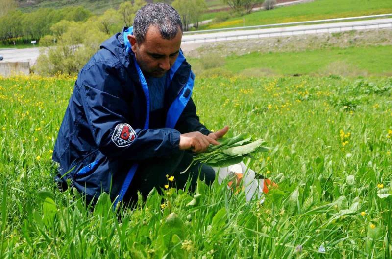 Doğadan sofralara gelen lezzetler
