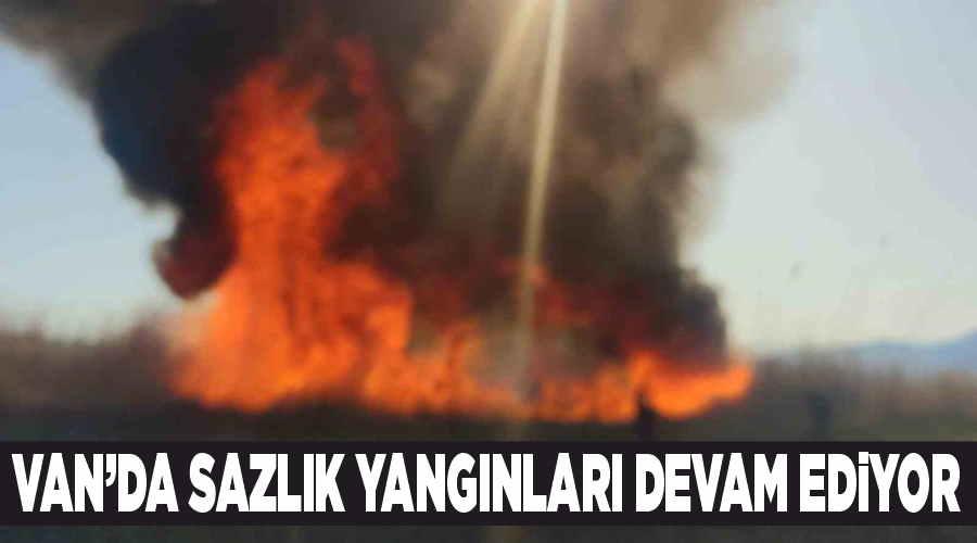 Van’da sazlık yangınları devam ediyor