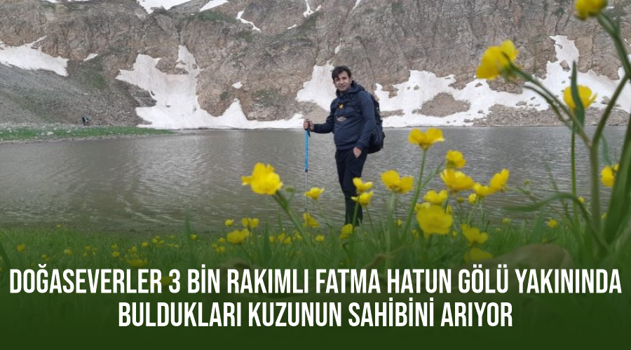 Doğaseverler 3 bin rakımlı Fatma Hatun Gölü yakınında buldukları kuzunun sahibini arıyor