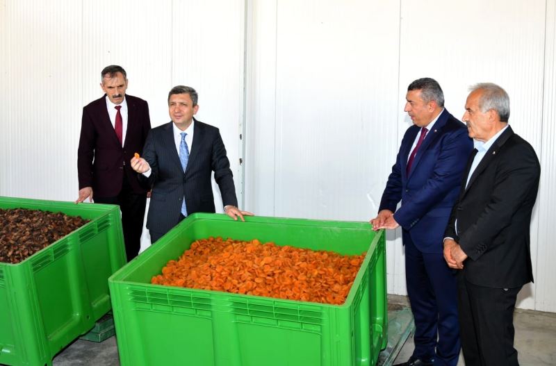 Malatya kayısısında 2023 yılı tahmini rekoltesi 77 bin 170 ton olarak açıklandı
