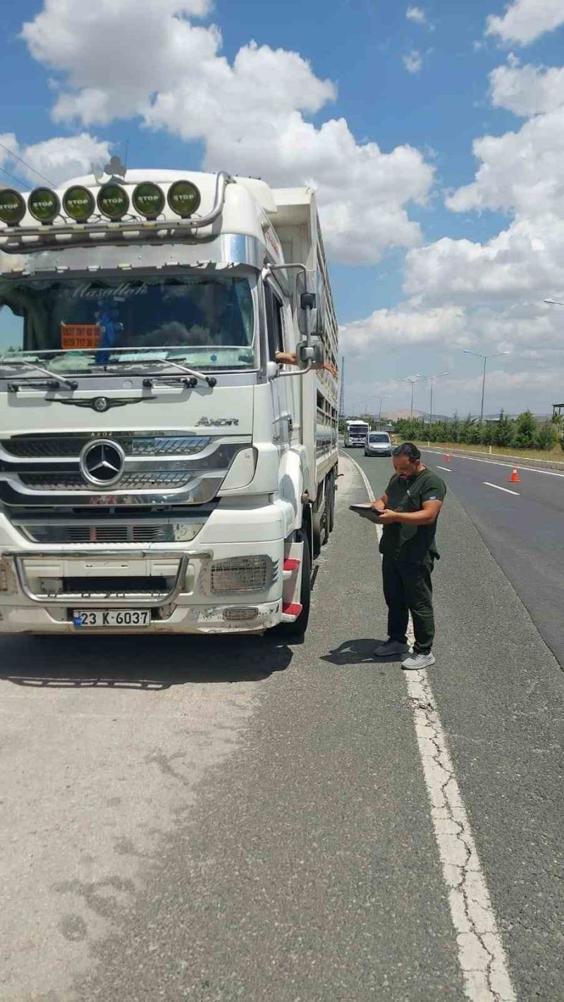 Elazığ’da hayvan sevkiyatı denetimi sürüyor
