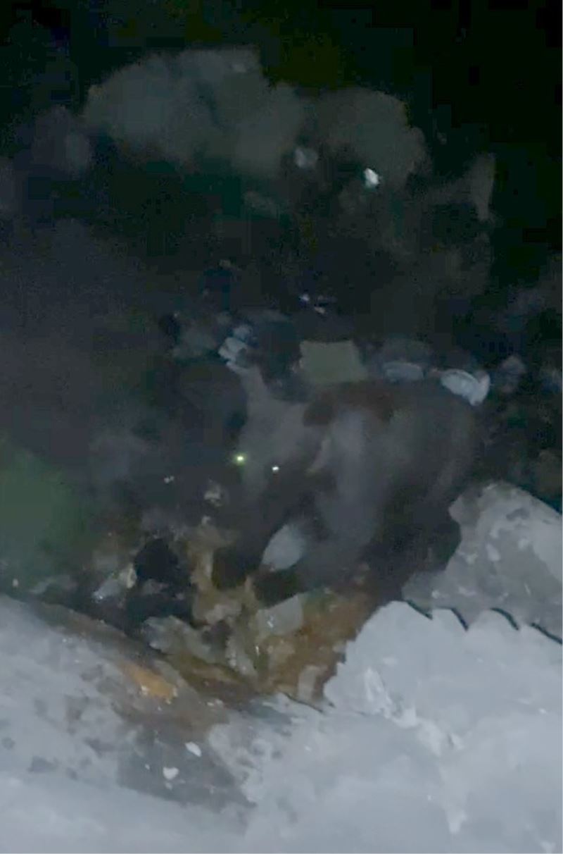 Çöplükte beslenen ayı görüntülendi
