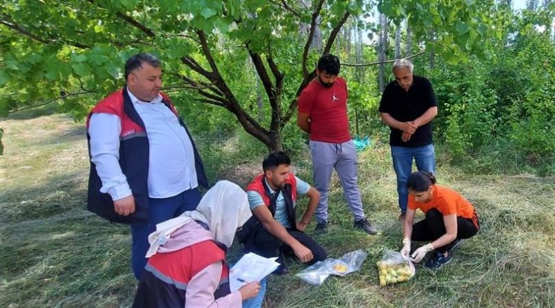 Iğdır’da yetişen ürünlerden numune alınıyor
