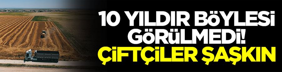 10 yıldır böylesi görülmedi! Çiftçiler şaşkın 