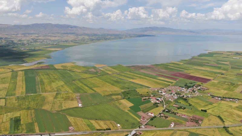 Önceden çölü andıran baraj sahası suyla doldu
