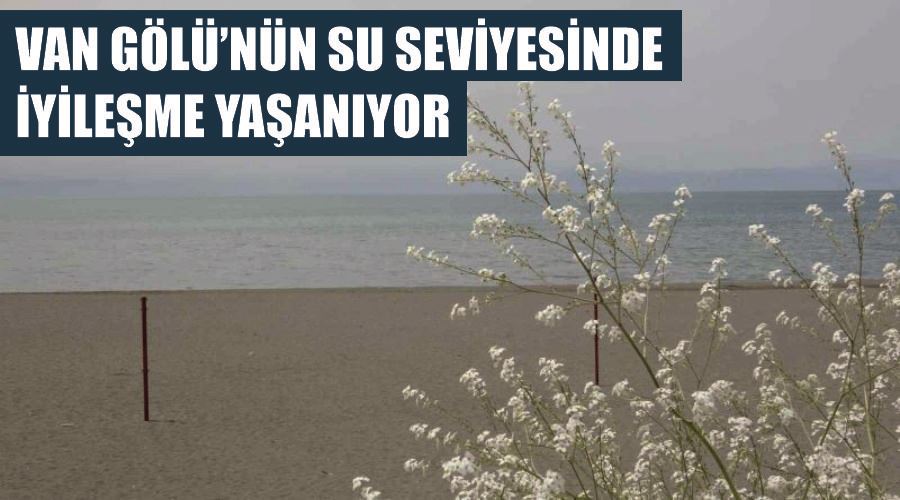 Van Gölü’nün su seviyesinde iyileşme yaşanıyor