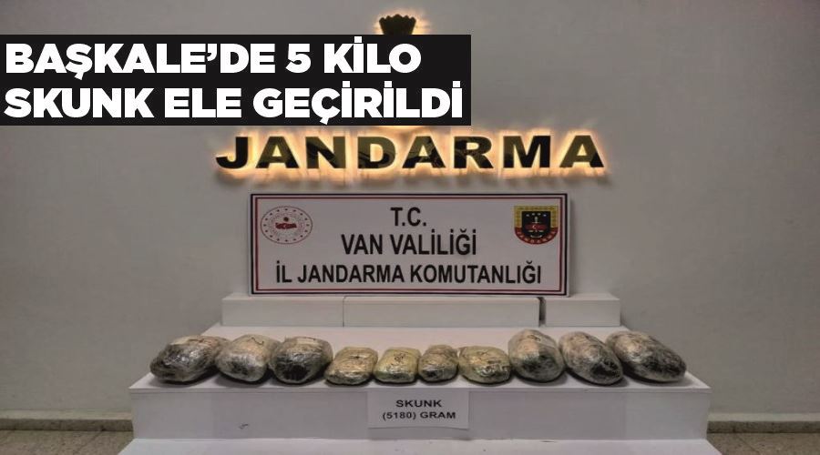 Başkale’de 5 kilo skunk ele geçirildi