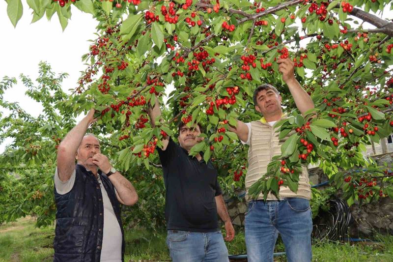 Devlet desteği ile hayalini kurduğu meyve bahçesine kavuştu
