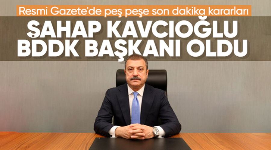 Şahap Kavcıoğlu, BDDK