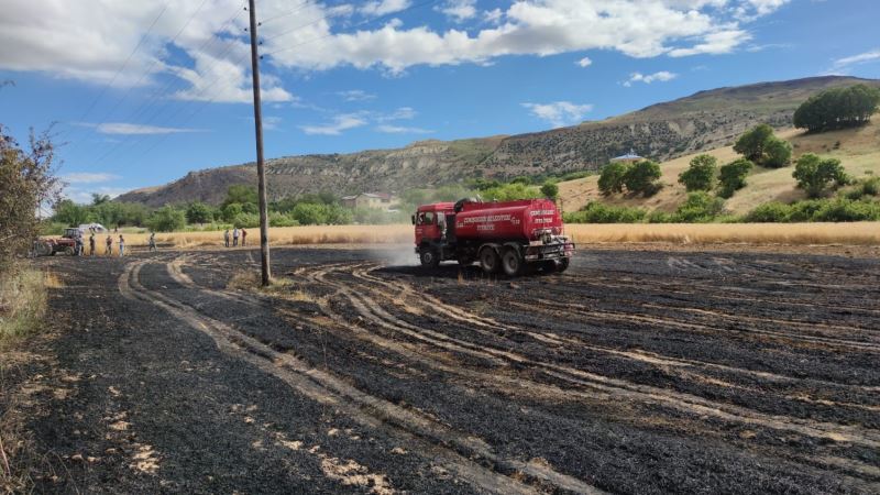 Tunceli’de 15 dönüm ekili alan kül oldu
