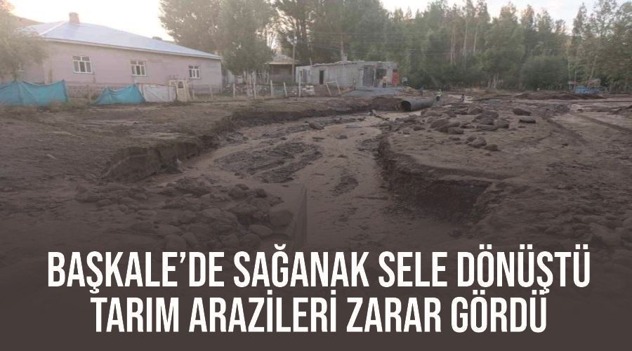 Başkale’de sağanak sele dönüştü, tarım arazileri zarar gördü