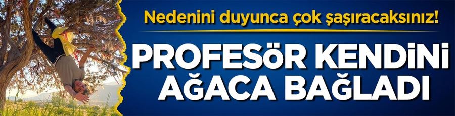 Nedenini duyunca çok şaşıracaksınız! Profesör kendini ağaca bağladı 