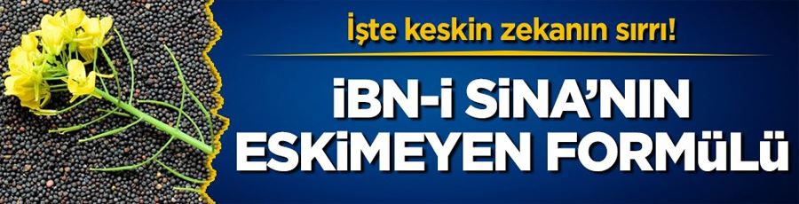 İşte keskin zekanın sırrı! İbn-i Sina