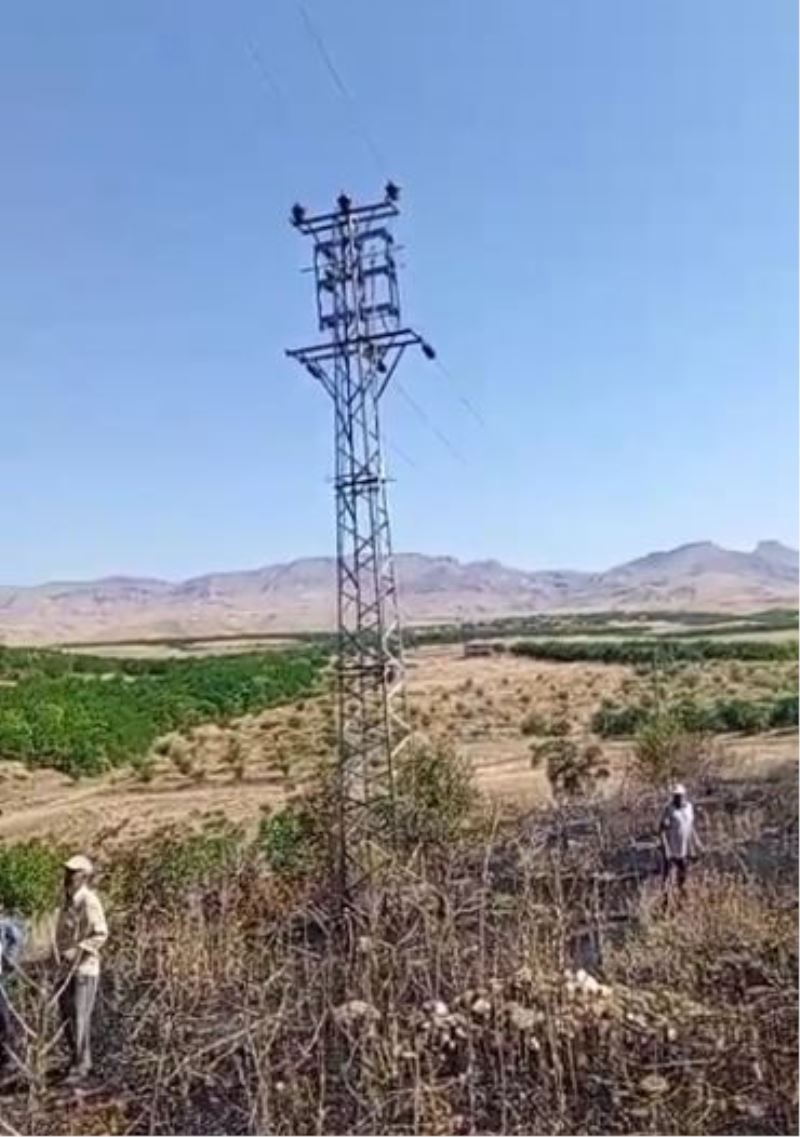 Elektrik direğinden çıkan kılvılcım 5 dönümlük bahçeyi  kül etti
