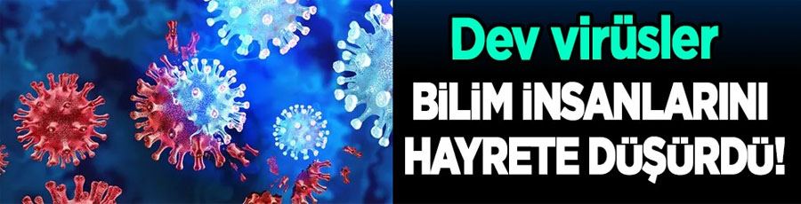 Orman içinde keşfedilen dev virüsler, böylesi daha önce hiç görülmedi! bilim insanlarını hayrete düşürdü! İnanılmaz