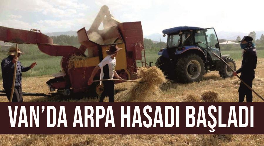 Van’da arpa hasadı başladı