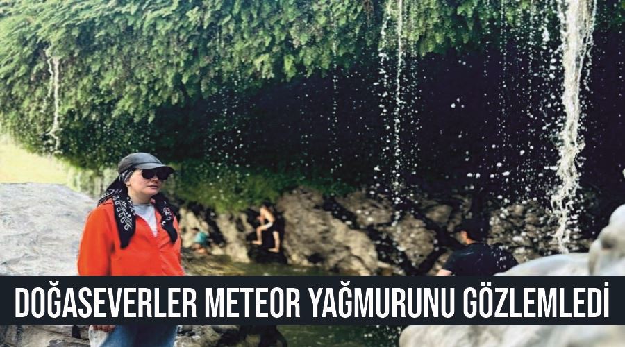 Doğaseverler meteor yağmurunu gözlemledi