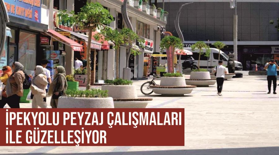 İpekyolu peyzaj çalışmaları ile güzelleşiyor