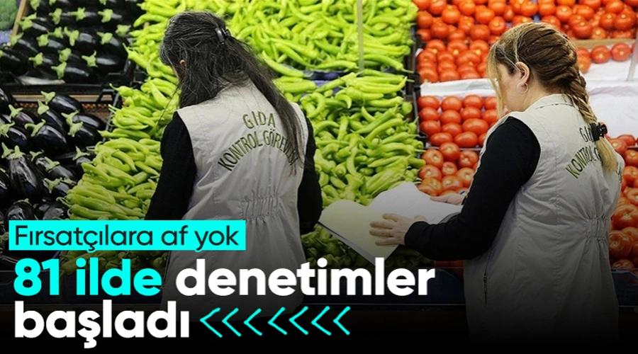 Van ile birlikte 81 ilde gıda denetimleri başladı