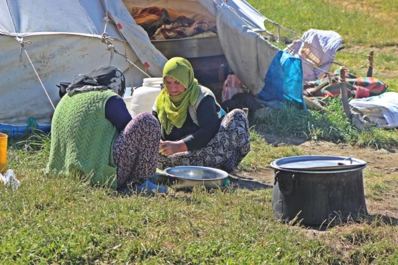 Erzincanlı göçerlerin zorlu yayla hayatı
