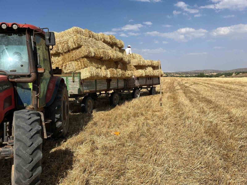 Erzincan’da çiftçilerin saman mesaisi başladı
