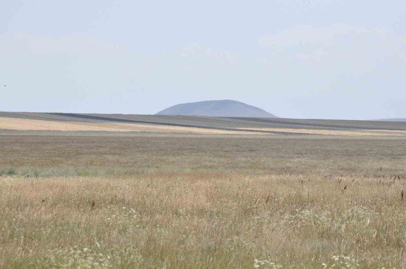 Doğu Anadolu’nun ilk Ramsar alanıydı
