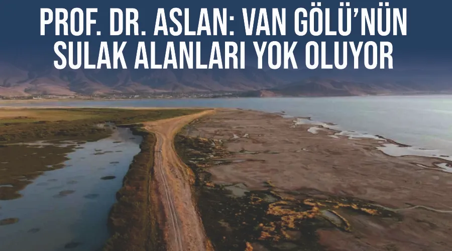 Prof. Dr. Aslan: “Van Gölü’nün sulak alanları yok oluyor”