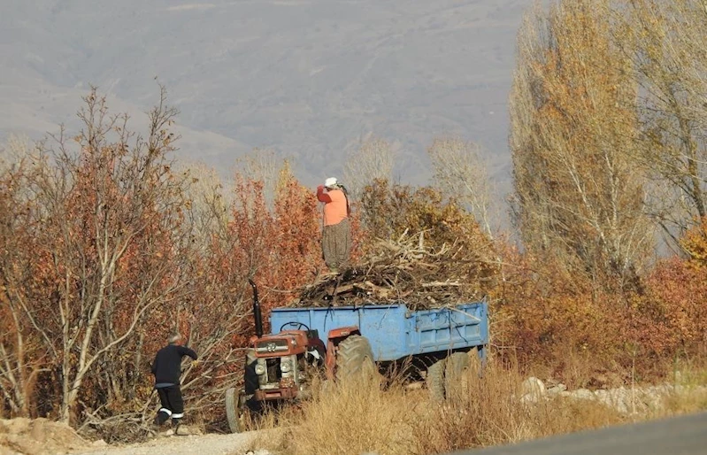 Köylerde kışlık odun hazırlığı
