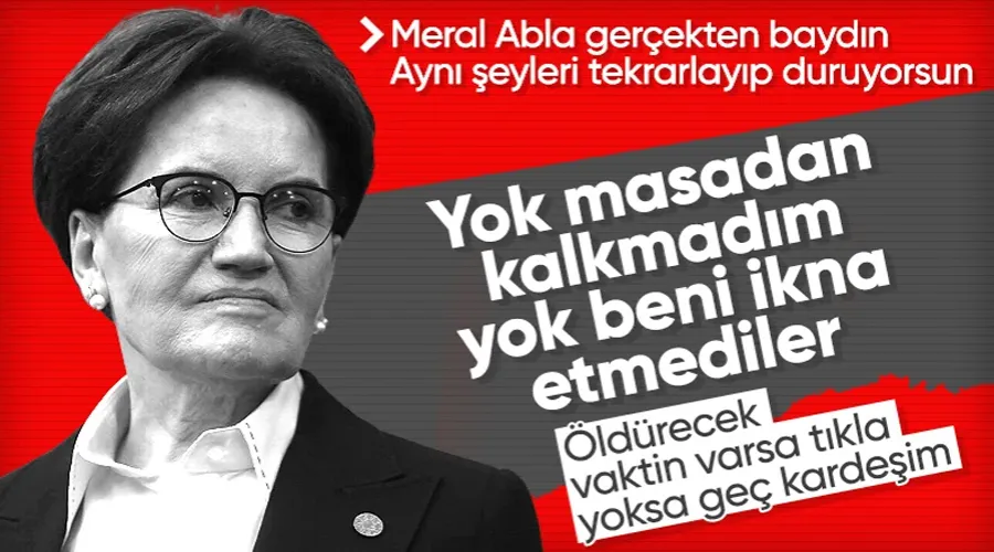 İyi Parti lideri Meral Akşener