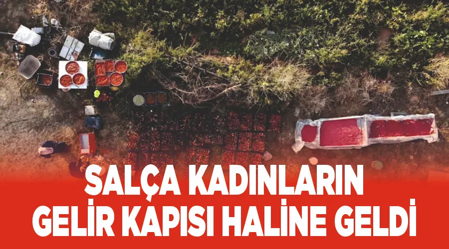 Salça kadınların gelir kapısı haline geldi