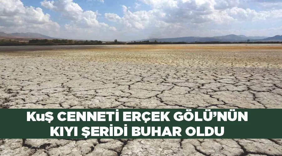 Kuş cenneti Erçek Gölü’nün kıyı şeridi buhar oldu