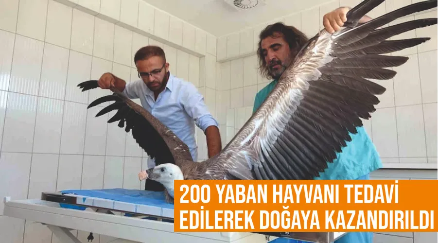 Van’da 200 yaban hayvanı tedavi edilerek doğaya kazandırıldı