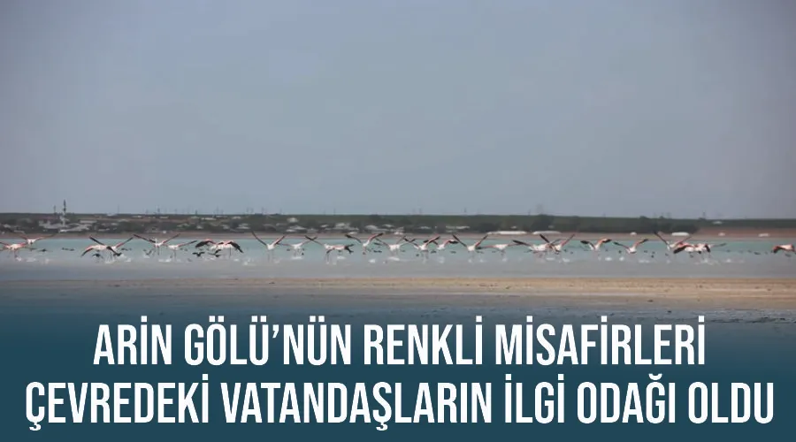 Arin Gölü’nün renkli misafirleri çevredeki vatandaşların ilgi odağı oldu