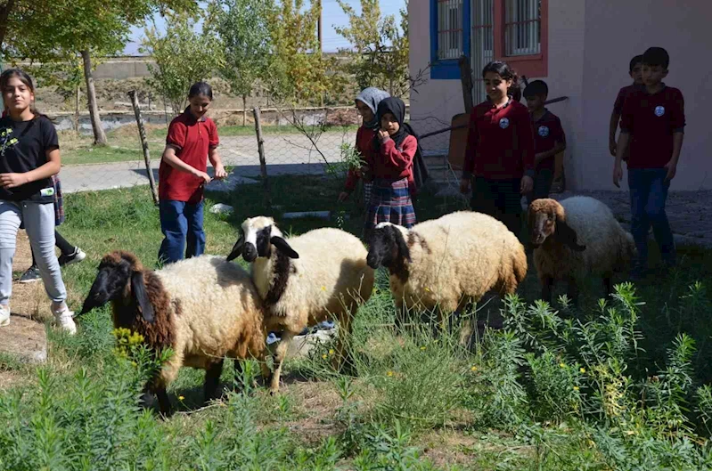 Okulun bahçesinde kalan 