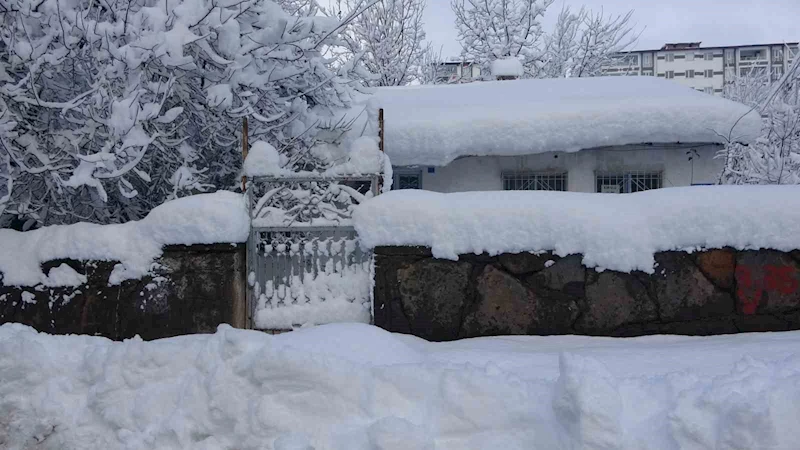 Kar Bitlis’i esir aldı
