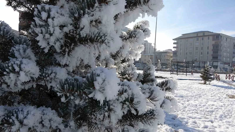 Ardahan’da dondurucu soğukları: Göle -29,8 derece
