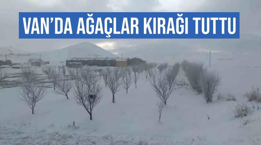 Van’da ağaçlar kırağı tuttu