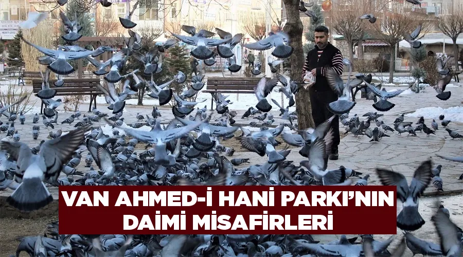 Van Ahmed-i Hani Parkı’nın daimi misafirleri