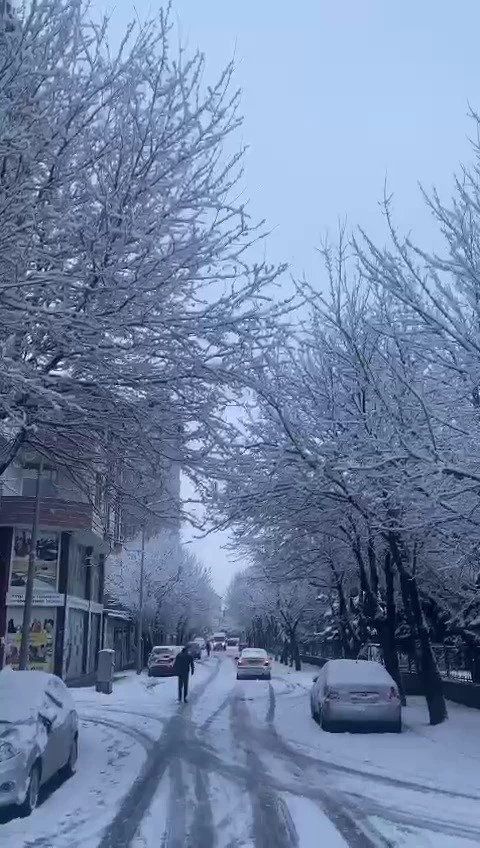 Patnos’ta köy yolları ulaşıma kapandı
