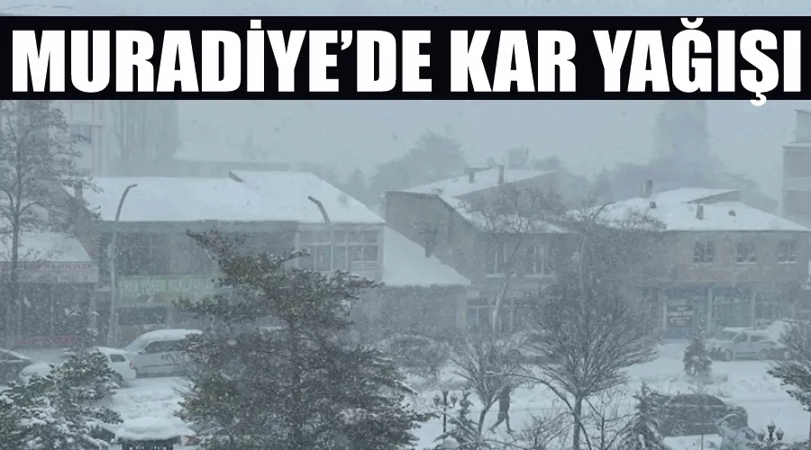 Muradiye’de kar yağışı