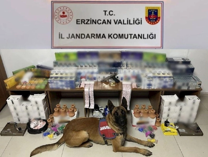 Erzincan’da jandarma ekiplerinden kaçak sigara operasyonu
