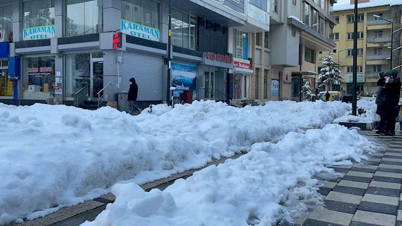 Tatvan Belediyesi kar temizlemede sınıfta kaldı
