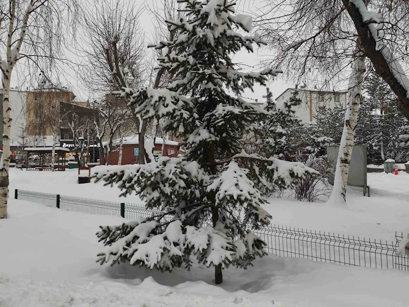 Ardahan’da karla gelen eşsiz güzellik
